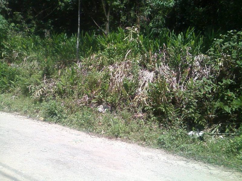 Terreno à venda Estância Alto da Serra com 7911m² e  quartos por R$ 320.000 - 82131267-14656406-1142191775861963-7912183278137200262-n.jpg