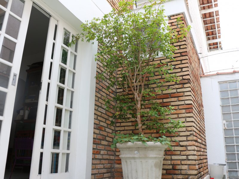 Casa à venda Campo Belo com 184m² e 3 quartos por R$ 1.080.000 - 1338952595-9.JPG
