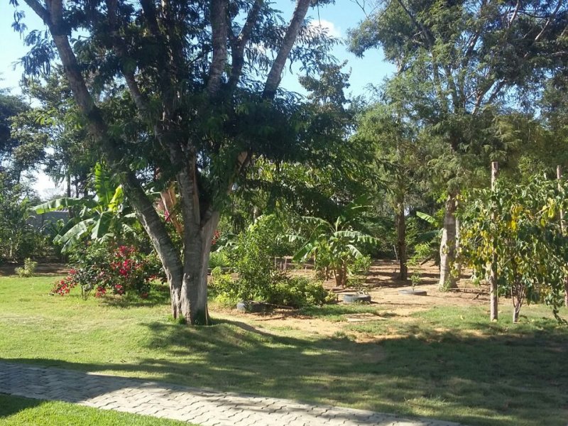 Terreno à venda Zabelê com 360m² e  quartos por R$ 77.000 - 1043651411-img-20170325-wa0044.jpg