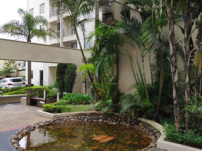 Apartamento à venda Vila Ivone com 64m² e 3 quartos por R$ 380.000 - 1441253971-whatsapp-image-2019-02-12-at-10.jpeg