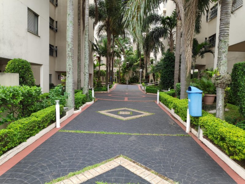 Apartamento à venda Vila Ivone com 64m² e 3 quartos por R$ 380.000 - 1798901553-whatsapp-image-2019-02-12-at-10.jpeg