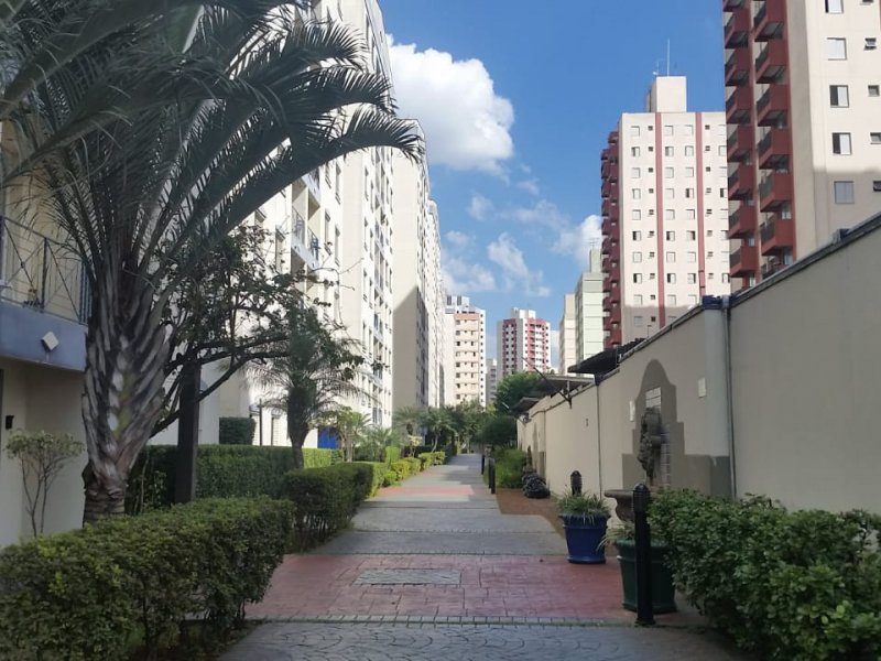 Apartamento à venda Parque Bristol com 61m² e 3 quartos por R$ 250.000 - 1110521757-img-20190212-wa0023.jpg