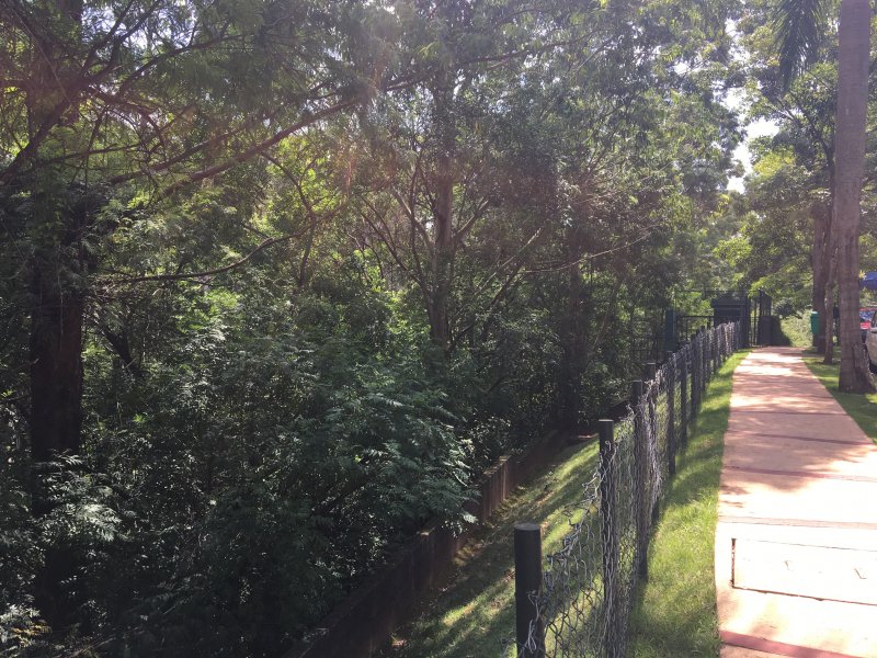 Apartamento à venda Morumbi com 144m² e 4 quartos por R$ 1.080.000 - 1242920985-93ab4fb5-c567-4ab2-bdb9-f2f3faa7bca0.jpeg