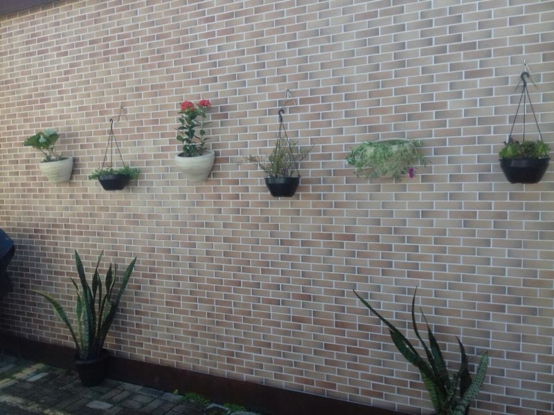 Casa de condomínio à venda Cibratel - Chácaras com 64m² e 2 quartos por R$ 99.000 - 2122077007-img-20180211-wa0009.jpg