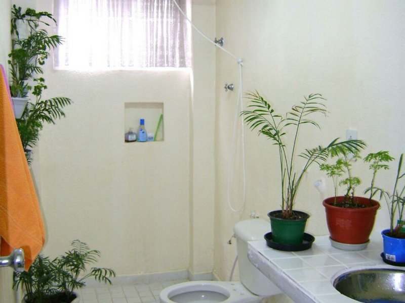 Apartamento à venda Santana com 72m² e 2 quartos por R$ 318.000 - 315315057-img-20180713-wa0047.jpg