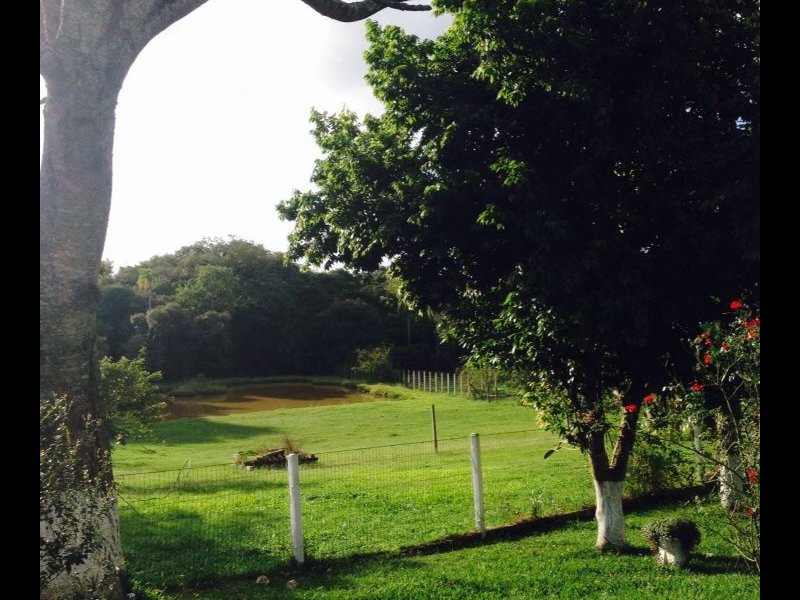 Chacara à venda Estância grande  com 6200000m² e 0 quartos por R$ 350.000 - 1834703944-41cce969-1cef-4975-bf49-6ce2bf904601.jpeg