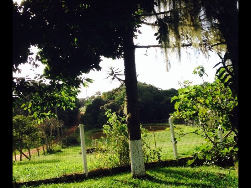 Chacara à venda Estância grande  com 6200000m² e 0 quartos por R$ 350.000 - 7253789-fa921284-e9aa-487e-b587-90bf7a19d23a.jpeg
