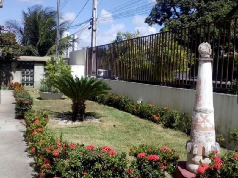 Apartamento à venda Bongi com 65m² e 2 quartos por R$ 200.000 - 950003531-whatsapp-image-2019-02-17-at-14.jpeg