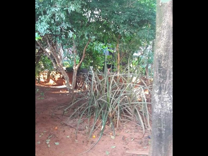Casa à venda Centro com 625m² e 1 quarto por R$ 120.000 - 1524536517-img-20190212-wa0028.jpg