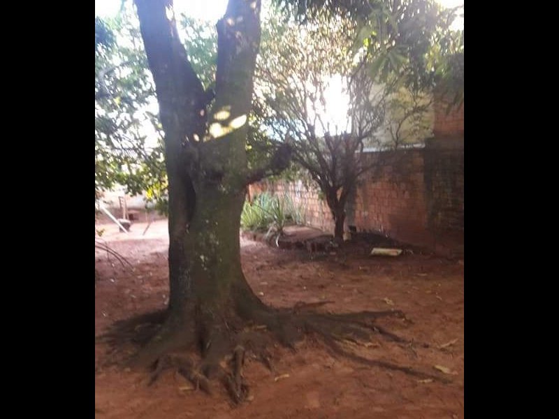 Casa à venda Centro com 625m² e 1 quarto por R$ 120.000 - 904244275-img-20190212-wa0035.jpg