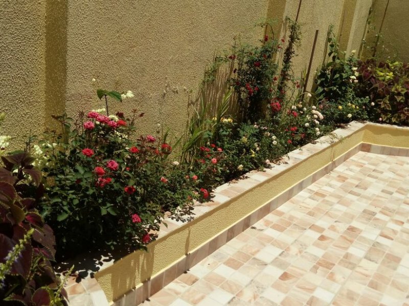 Casa de condomínio à venda Horto Florestal com 155m² e 3 quartos por R$ 428.000 - 165964041-img-20170108-wa0001.jpg