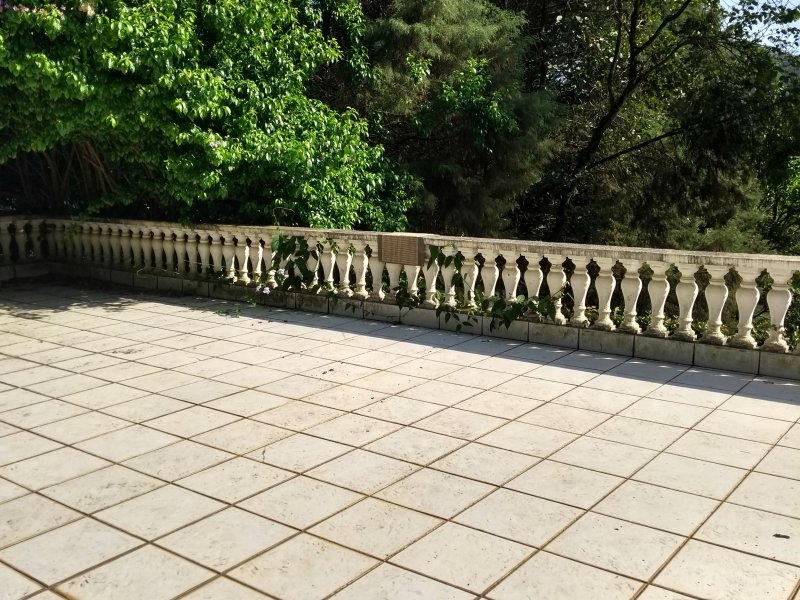 Chacara à venda Viçoso com 120m² e 3 quartos por R$ 400.000 - 1018296299-img-20181103-081711255.jpg