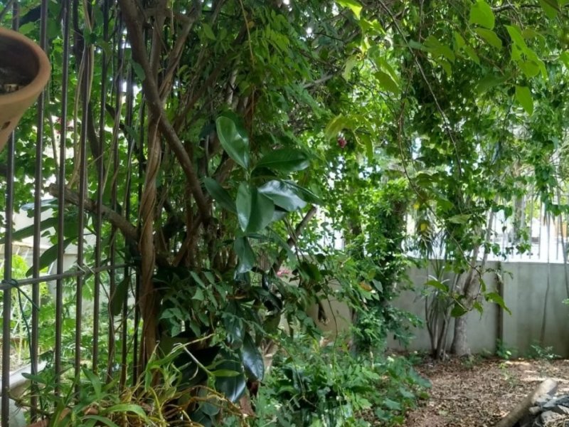 Casa à venda Padre Reus com 336m² e 4 quartos por R$ 990.000 - 170109462-11864746.jpg