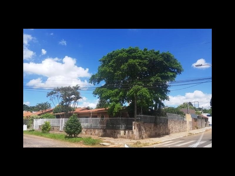 Casa à venda Padre Reus com 336m² e 4 quartos por R$ 990.000 - 897920560-20190213-151638.jpg