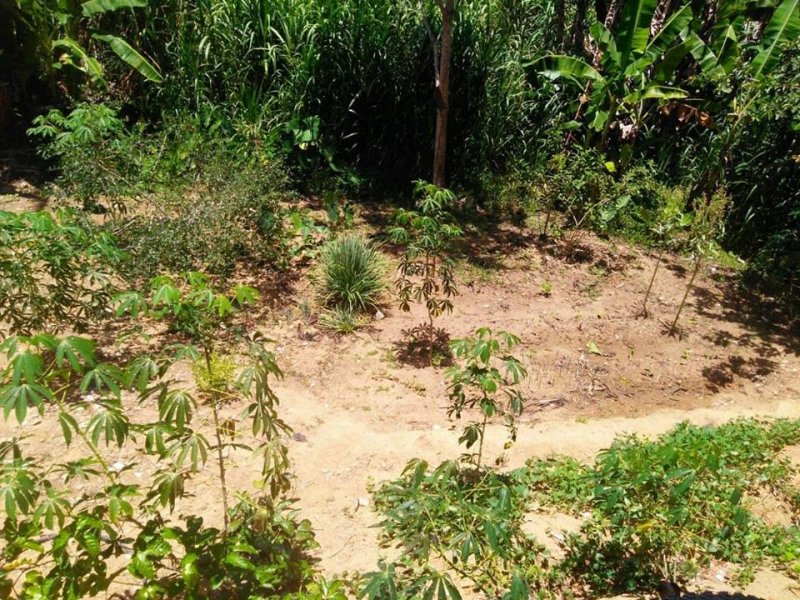 Casa à venda Serra Dourada 2 com 104m² e 1 quarto por R$ 40.000 - 1150772541-quintal.jpg