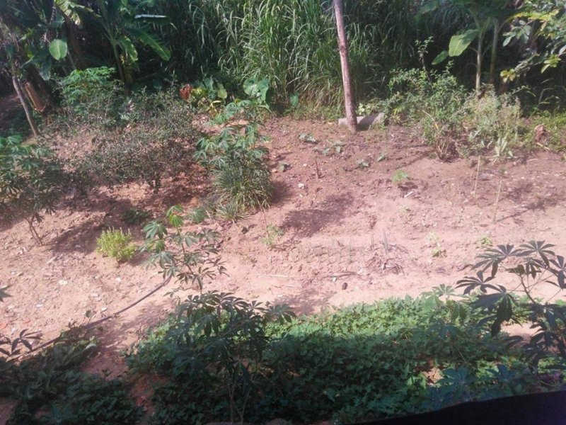Casa à venda Serra Dourada 2 com 104m² e 1 quarto por R$ 40.000 - 1542845865-quintal-2.jpg