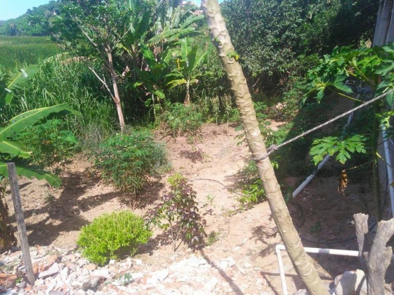 Casa à venda Serra Dourada 2 com 104m² e 1 quarto por R$ 40.000 - 1783909096-quintal-3.jpg
