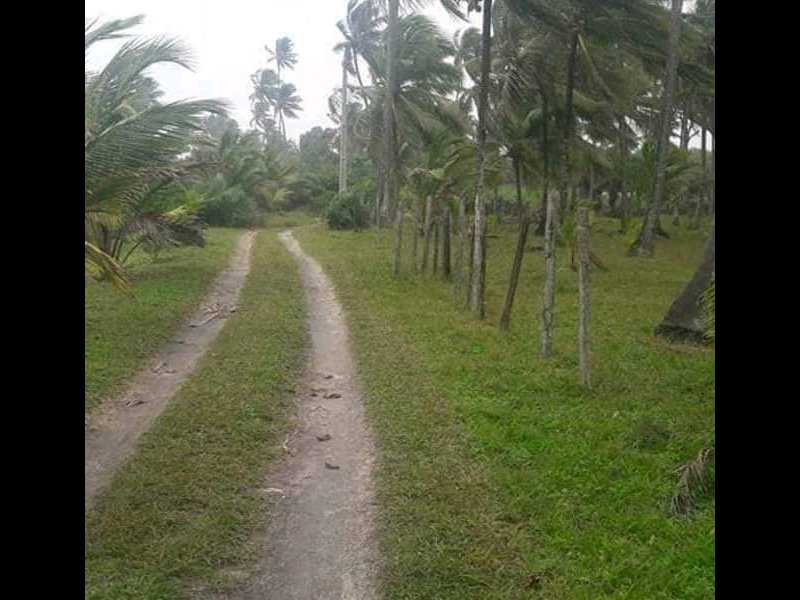 Terreno à venda Serra Grande com 12000m² e  quartos por R$ 1.400.000 - 1810940981-fb-img-15507538427346427.jpg