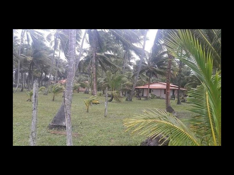 Terreno à venda Serra Grande com 12000m² e  quartos por R$ 1.400.000 - 215703181-fb-img-15507538255733373.jpg