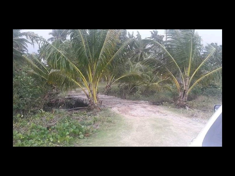 Terreno à venda Serra Grande com 12000m² e  quartos por R$ 1.400.000 - 737836266-fb-img-15507538642554691.jpg