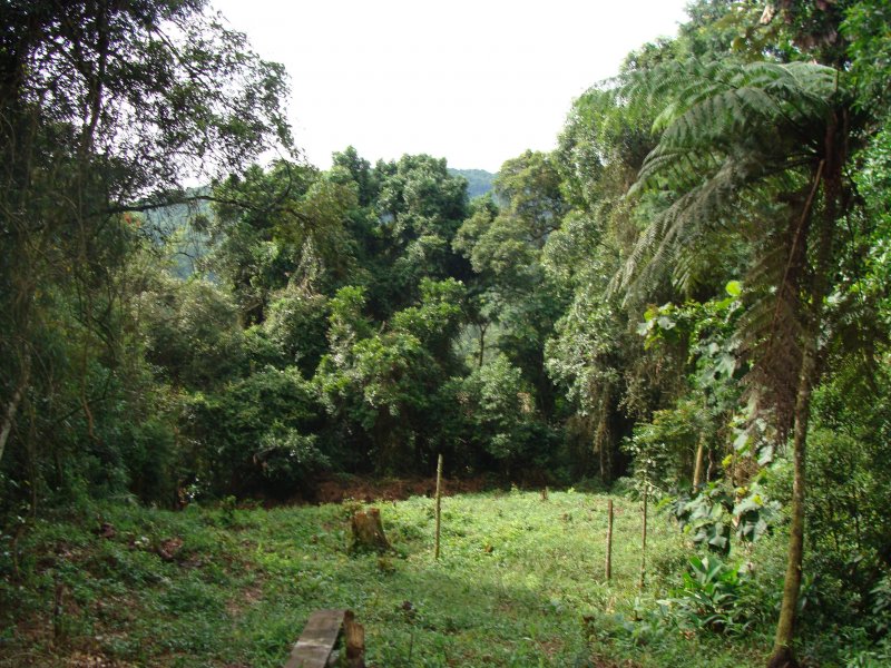Terreno à venda Jardim Peri com 840m² e  quartos por R$ 220.000 - 2126167637-7f0c898e-4891-42eb-9441-7acb33e6e836.jpeg