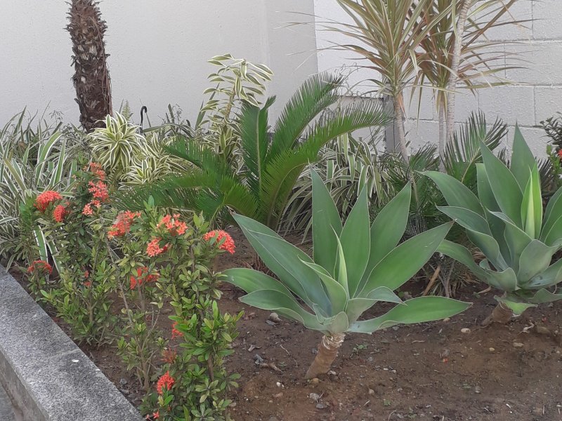 imóvel com 58m² - Buraquinho - Lauro de Freitas