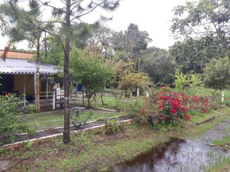 Chácara à venda Boqueirão Sul com 250m² e 6 quartos por R$ 350.000 - 204427189-whatsapp-image-2019-02-25-at-17.jpeg