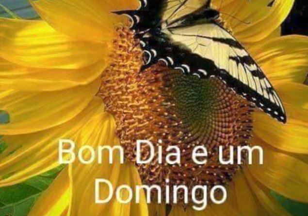 imóvel com 66m²
