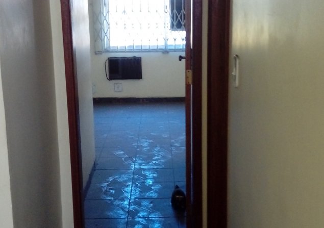 imóvel com 82m²