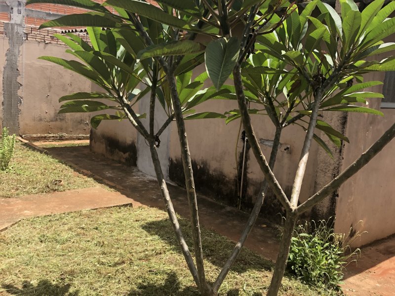 imóvel com 140m² - Maria Lúcia - Londrina
