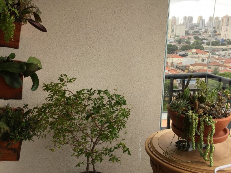 Apartamento à venda Tatuapé com 68m² e 2 quartos por R$ 495.000 - 2121304482-img-1754.JPG