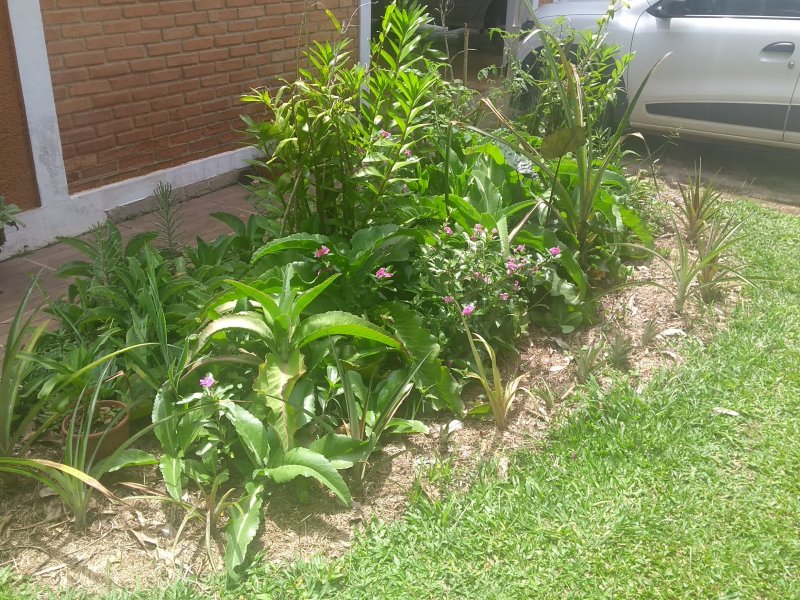 Chacara à venda Estância Figueira Branca com 400m² e 3 quartos por R$ 750.000 - 58005721-img-20190304-112531258.jpg