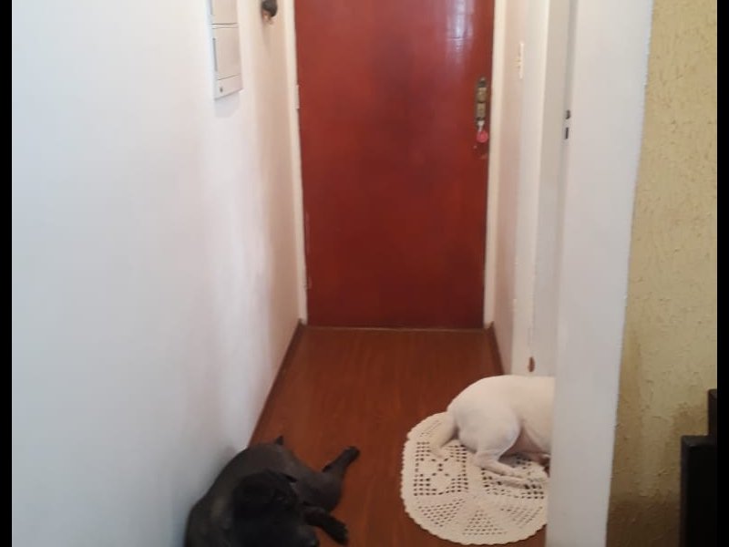 Apartamento à venda Cidade Líder com 68m² e 3 quartos por R$ 260.000 - 112062914-whatsapp-image-2019-03-04-at-13.jpeg