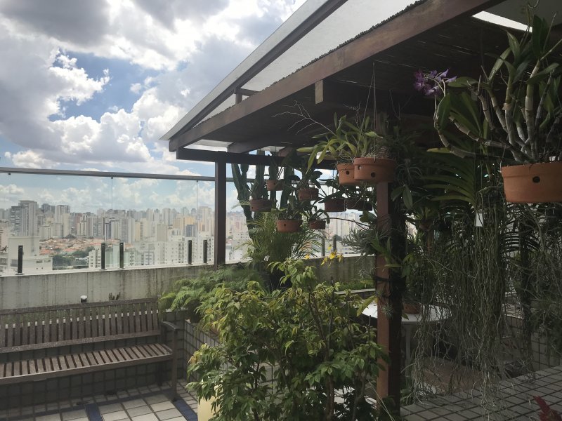 Cobertura à venda Jardim da Saúde com 150m² e 2 quartos por R$ 1.100.000 - 1674549649-0072b05b-2290-4678-a727-f717baaeac00.jpeg