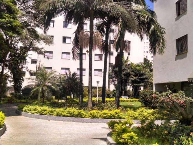 imóvel com 79m² - Vila São Paulo - São Paulo