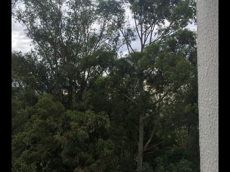 Apartamento à venda Vila Capitao Rabelo com 60m² e 3 quartos por R$ 350.000 - 1877521821-dormitorio-1-vista-da-janela-2.jpg