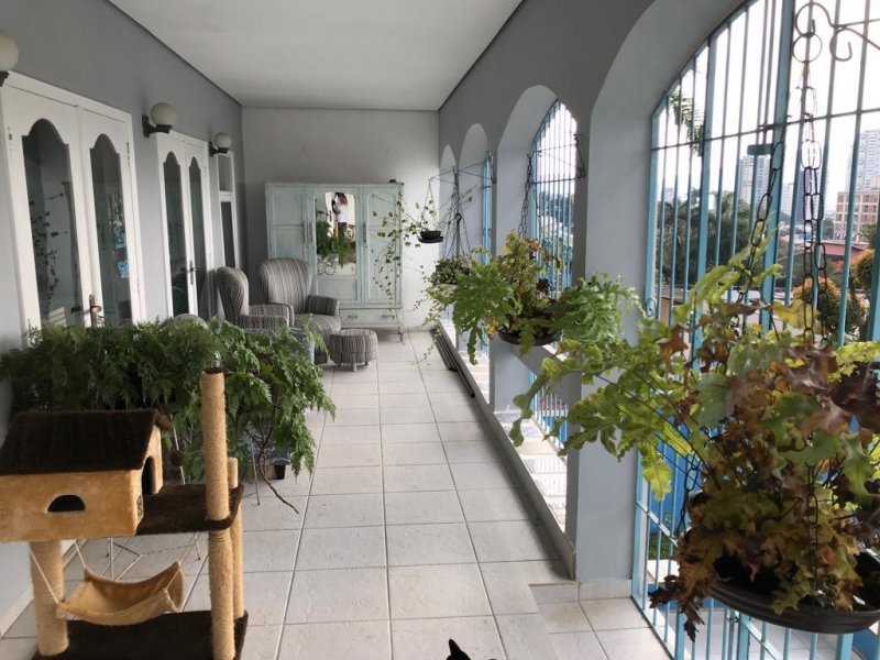 Casa à venda Vila Oliveira com 360m² e 5 quartos por R$ 950.000 - 1158068142-whatsapp-image-2019-03-06-at-21.jpeg