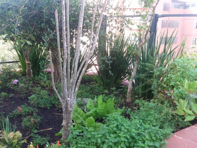 Cobertura à venda Jardim Marajoara com 230m² e 4 quartos por R$ 1.300.000 - 469225287-img-20180618-wa0040.jpg
