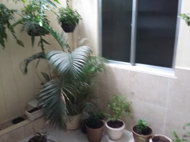 Apartamento à venda Rocha com 290m² e 6 quartos por R$ 550.000 - 341821440-20180130-163457.jpg