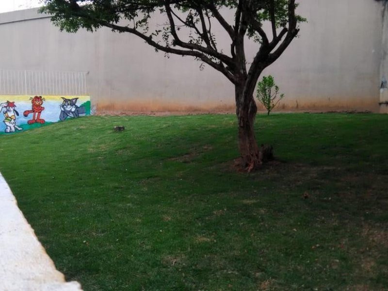 Apartamento à venda Jardim Mitsutani com 43m² e 2 quartos por R$ 180.000 - 92170239-espaco-animal-2o-imagem.jpg