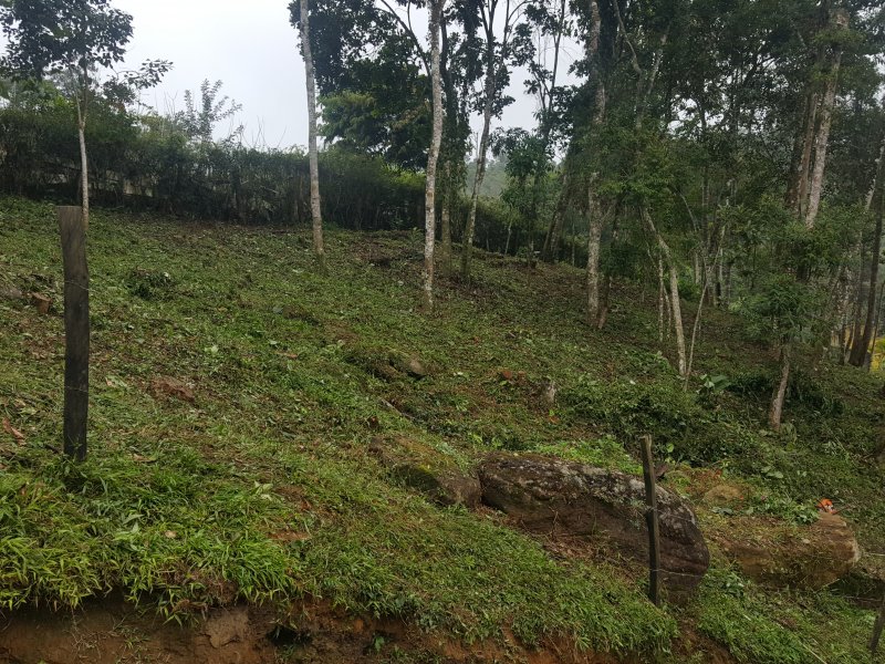 imóvel com 1000m² - Albuquerque - Teresópolis