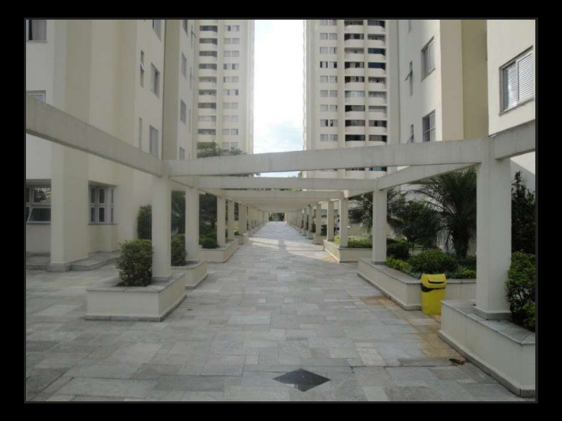 Apartamento à venda Vila Sofia com 75m² e 3 quartos por R$ 600.000 - 348942589-corredor-entrada.png