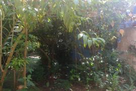 Chacara à venda Rasa com 8000m² - 5 dormitórios -  vagas - R$ 700.000 - 309106147-whatsapp-image-2019-04-03-at-14.jpeg