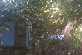 Chacara à venda Rasa com 8000m² - 5 dormitórios -  vagas - R$ 700.000 - 431432040-whatsapp-image-2019-04-03-at-14.jpeg
