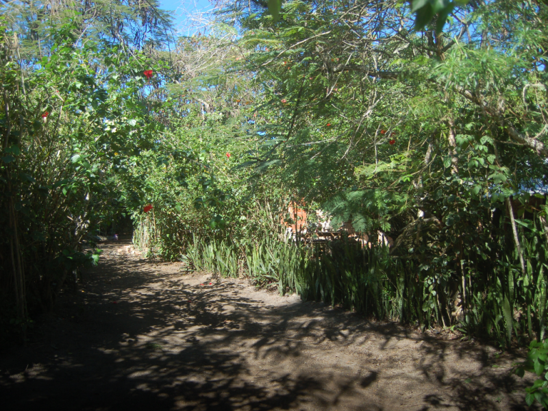 Chacara à venda Rasa com 8000m² e 5 quartos por R$ 700.000 - 1215626488-55.png