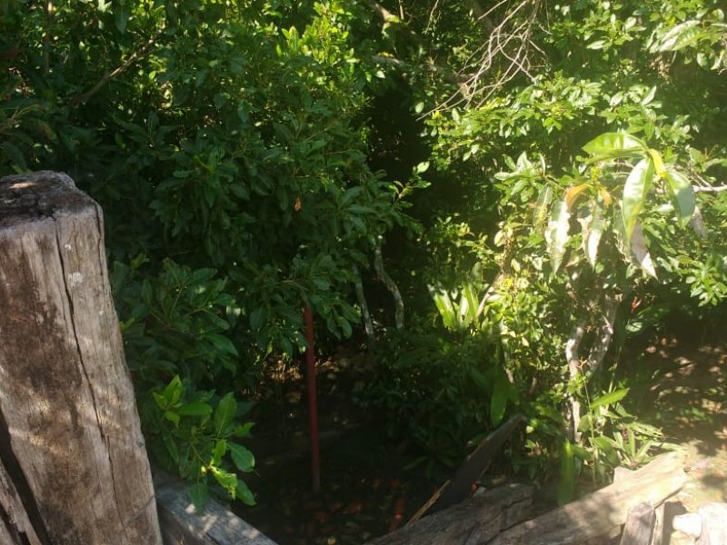 Chacara à venda Rasa com 8000m² e 5 quartos por R$ 700.000 - 1805426459-whatsapp-image-2019-04-03-at-14.jpeg