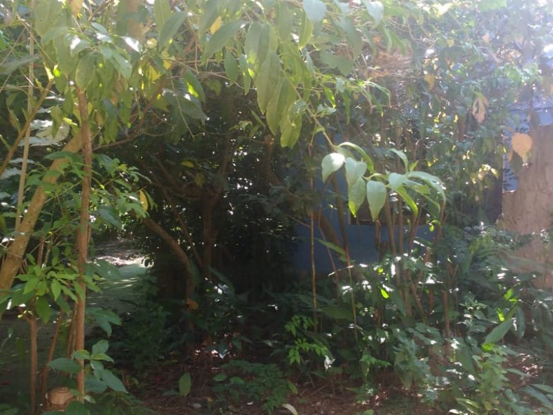 Chacara à venda Rasa com 8000m² e 5 quartos por R$ 700.000 - 309106147-whatsapp-image-2019-04-03-at-14.jpeg