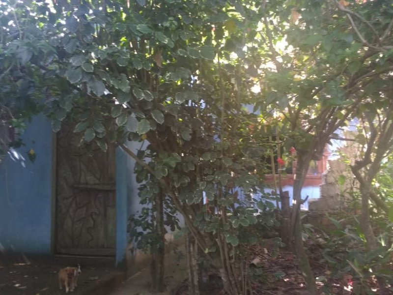 Chacara à venda Rasa com 8000m² e 5 quartos por R$ 700.000 - 431432040-whatsapp-image-2019-04-03-at-14.jpeg