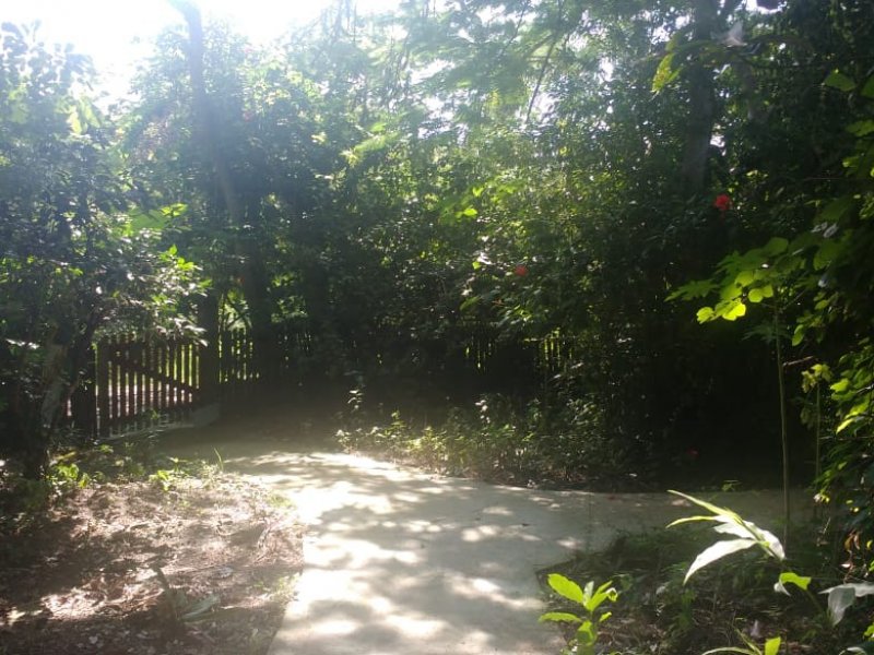 Chacara à venda Rasa com 8000m² e 5 quartos por R$ 700.000 - 991633009-whatsapp-image-2019-04-03-at-14.jpeg