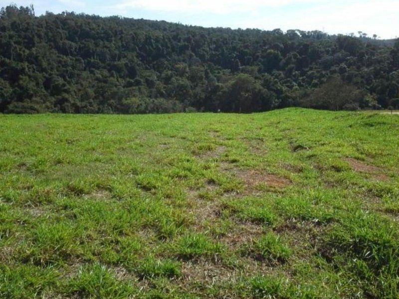 Terreno à venda Vila Brasileira com 2504m² e  quartos por R$ 1.245.000 - 536643013-terreno.jpg